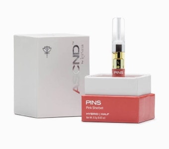 Kurvana - ASCND PINK SHERBET