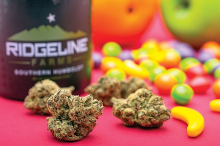 Ridgeline farms - RIDGELINE RUNTZ