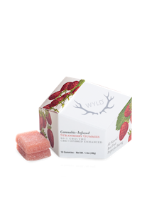 Wyld - STRAWBERRY 20:1 CBD GUMMIES