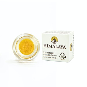 Himalaya - HONEY BUN
