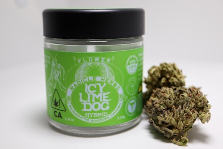 Radicle herbs - ICY LIME DOG 3.5G