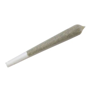 Mendo mystic - KOSHER DAWG