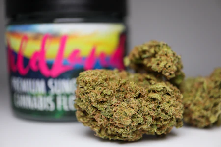 Wildland - MOUNTAIN MOON CAKE