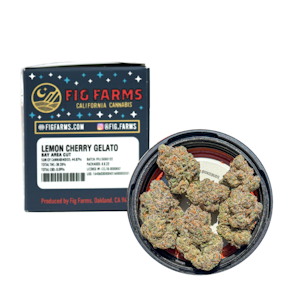 LEMON CHERRY GELATO - Plantshop