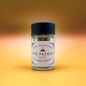 The pairist - ZE CHEM MINI (10PK)